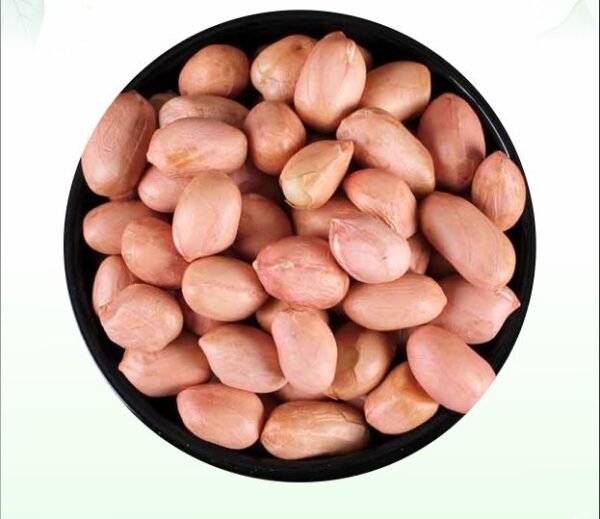 Peanuts   ବାଦାମ  मूंगफली