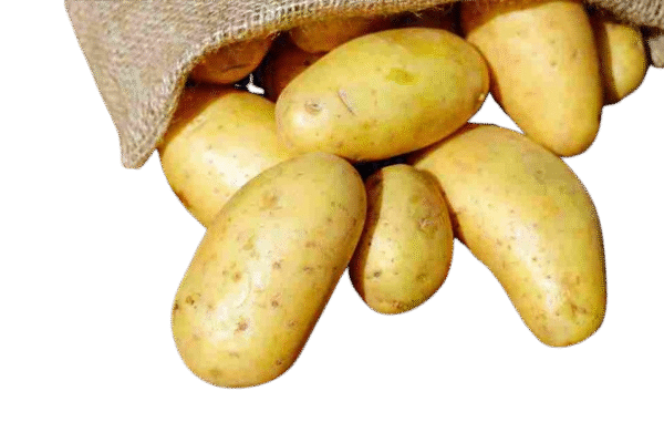 Potato ଆଳୁ