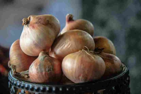 Onion  ପିଆଜ  प्याज़
